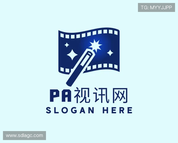 了解PA视讯集团
